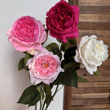 �����ָ���֦õ����滨�ҾӔ[����Ʒ�|ܛ�b��Ʒ�W˹͡һ�����l