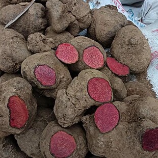 �tș�� ��ݹ  ��ɰɏ �uѪɏ ��ݹ �tѪĸҰɽȾ���������r�x؛