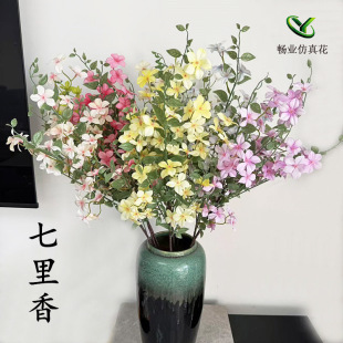 ins�L��������滨�Ҿ��b[�����Y�Ñ����bٻ����滨������