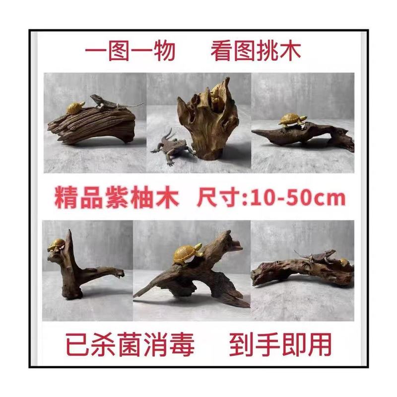 爬宠攀爬木鬃狮蜥晒台捷角守宫蛇躲避饲养箱造景天然枯木树枝沉木|undefined