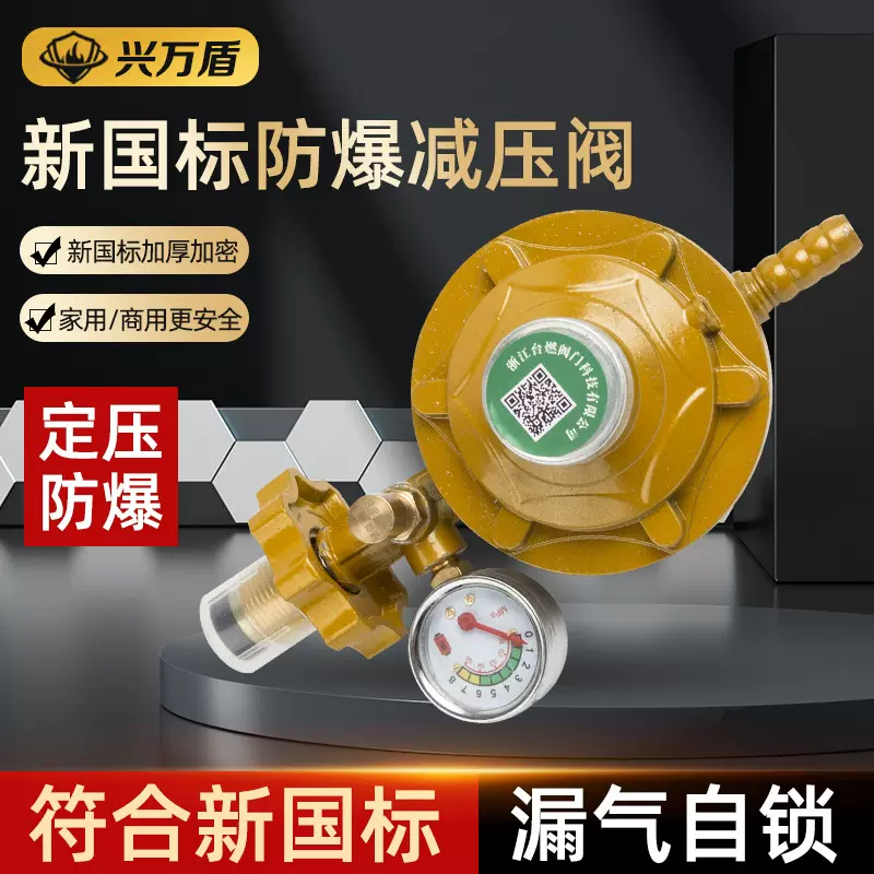天然气自闭阀燃气管道家用灶前漏气保护器超压防爆安全阀门减压阀