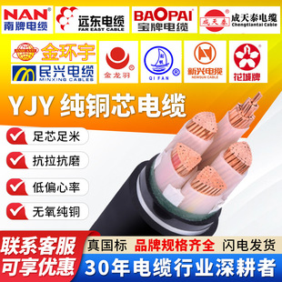 定制ZC-YJV國標電纜電線南洋寶牌金環宇成天泰金龍羽珠江民興