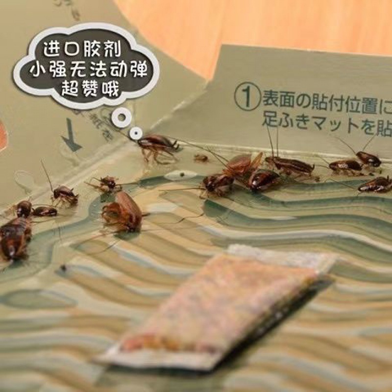 ゴキブリ小屋、ゴキブリを捕獲するためのスティック、ゴキブリを完全に駆除するための家庭用非粘着ボード|undefined