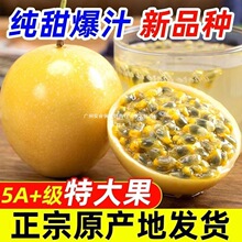 �V���J��9̖�S������10���rˮ�����������������]��ԭ���{5��