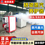 柴油混凝土蒸汽养护机桥梁养护器箱梁混凝土电加热燃油蒸汽发生器