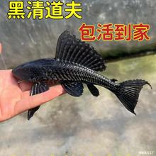 �~��ֱ�N�����Ů�����y�坍�����ͻ��w�����Ꭷ�~���嵭ˮ�^�p�~