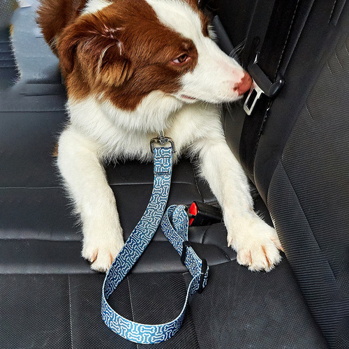 WAOPET New Printed Pet Car Safety Belt Dog Harness Nylon Car Pet Supplies