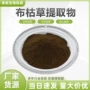 水溶枯草提取物
