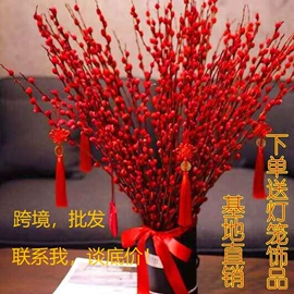 盆栽;乔木;花盆容器