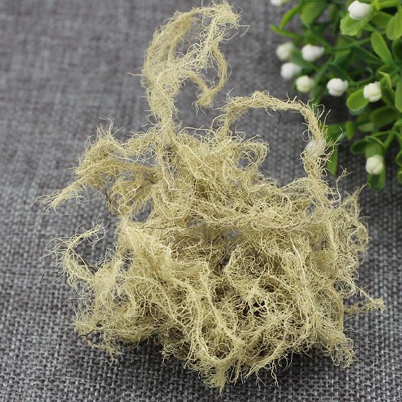 Yun Wu Cao Cloud Moss Herb 500g Dried Usnea Sliced Chinese Herbal Material for Decoction and Tea key features