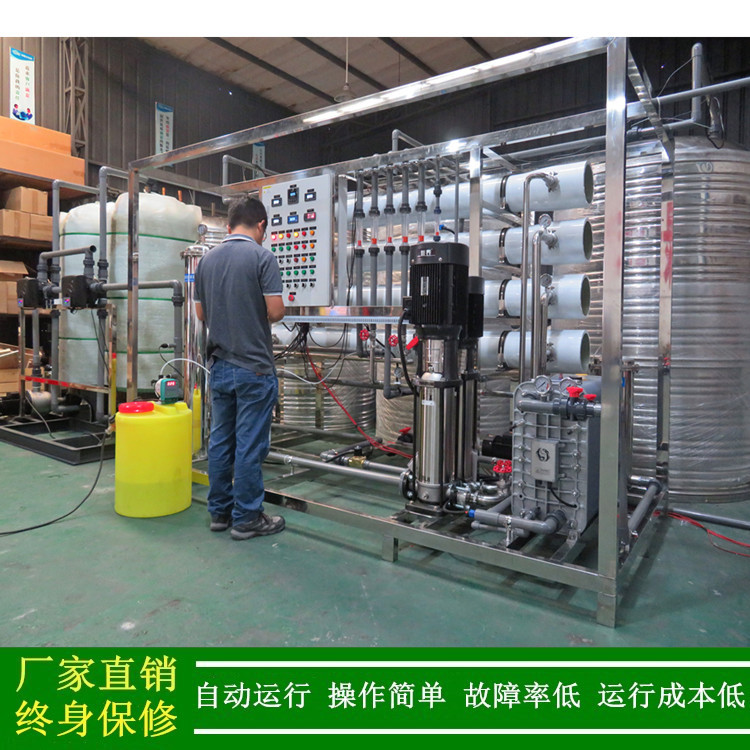 供应5吨EDI电除盐系统东莞EDI超纯水处理设备反渗透高纯水设备