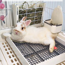 兔兔专用宠物兔子厕所大号屎盆荷兰猪天竺鼠尿盆豚鼠便盆用品大码