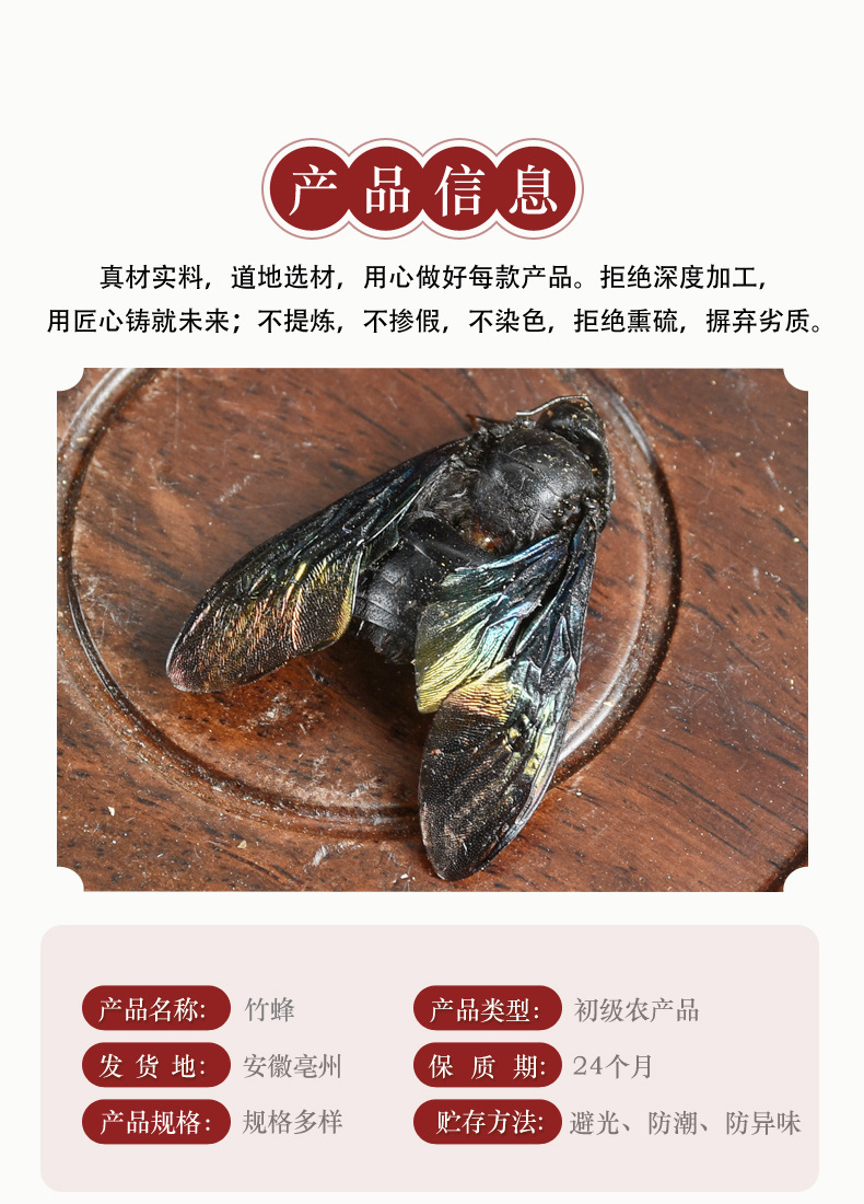 Bamboo Bee (Xylocopa dissimilis) — Dried TCM Insect Material, 500g Bulk Lot key features