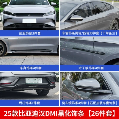 Kit EV Modified Appearance Blackening | Automobile anti-insect net - 22-24-models-of-han-ddmi-blackening-kit-29-piece-set