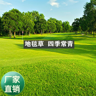 ��ƺ�������ò��o�¹������N���R������ƤͥԺ�G����̺���ļ�����