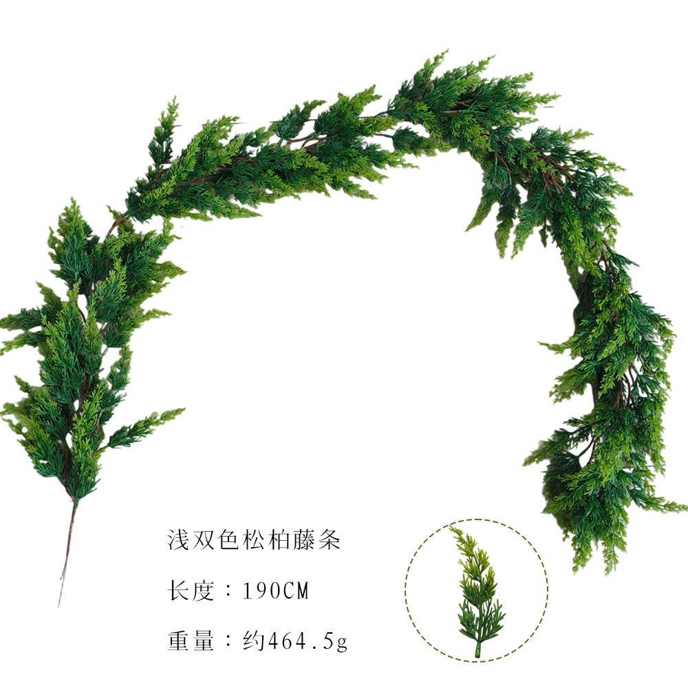 Bicromático ligeramente pin y ciprés vinas