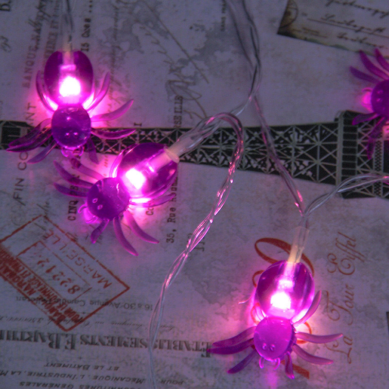 보라색 작은 거미