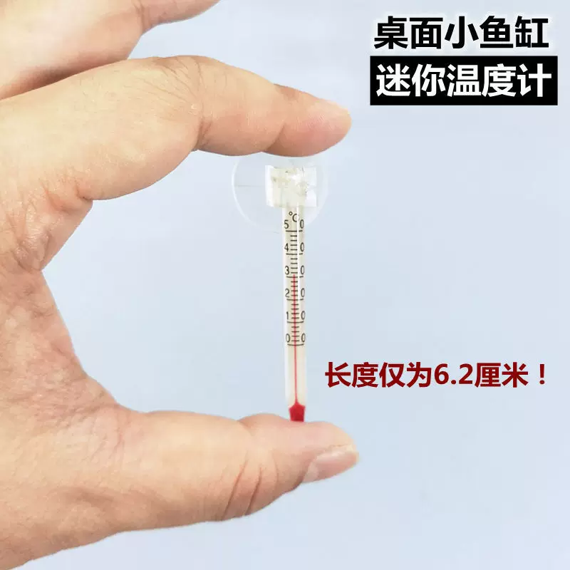 small glass aquarium, electronic thermometer, with LED display -> «Маленький стеклянный аквариум, электронный термометр, с LED-дисплеем»
