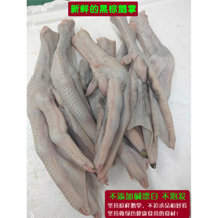 �V�|���r�����Z���Z�Ƴ��F�����Z���uζ�����Zצ���Z�_�����