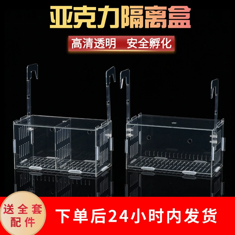 Изолирующий ящик для аквариума, акриловый прозрачный мини-попугай, павлин, золотая волна, инкубационный ящик, ящик для разведения рыбы