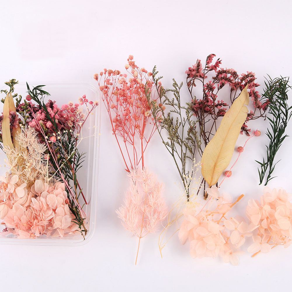 Flores secas preservadas hechas a mano, marco de fotos DIY, decoración mixta, materiales de aromaterapia, flores naturales, ramo de regalo para boda, San Valentín