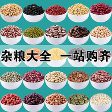 豆子新货一斤装五谷杂粮组合粗粮黄豆红豆现货多种杂粮厂家直发 d