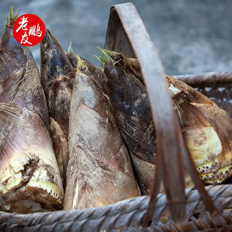 厂家直供江西明月山冬笋500克鲜笋现货竹笋冬笋笋尖火锅食材批发