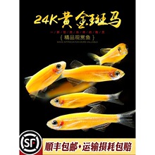 24K�S����R�~�ɹ��ǹ����R���������������T��ˮ�~��ˮС�~���w