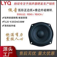 5.25 �绡�����ߵ�������25о���4 ŷ 30W��������������ֱ��