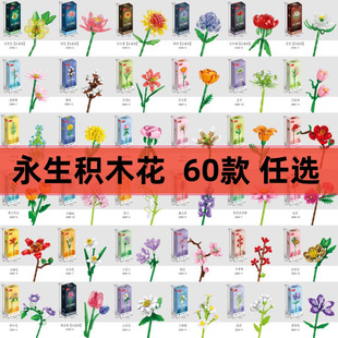 õ�����տ�ƴ�b��ͯ���������eľ���������һ���˹��ɴ�����