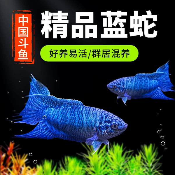 8-9cm