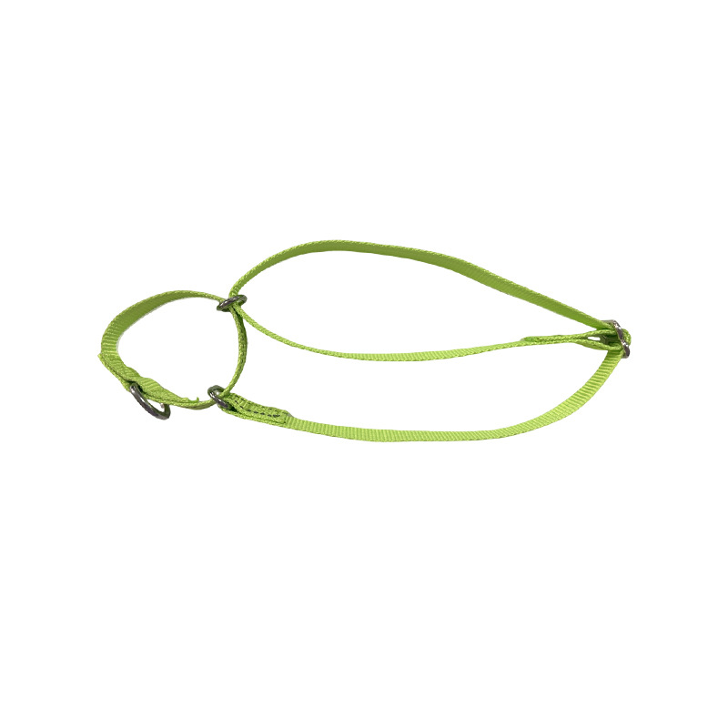 Cuerdas de tracción para perros, cuerdas de tracción alargadas, collares para perros, cuerda para caminar, Teddy de pelo dorado para mascotas, cadenas de perros grandes y medianos