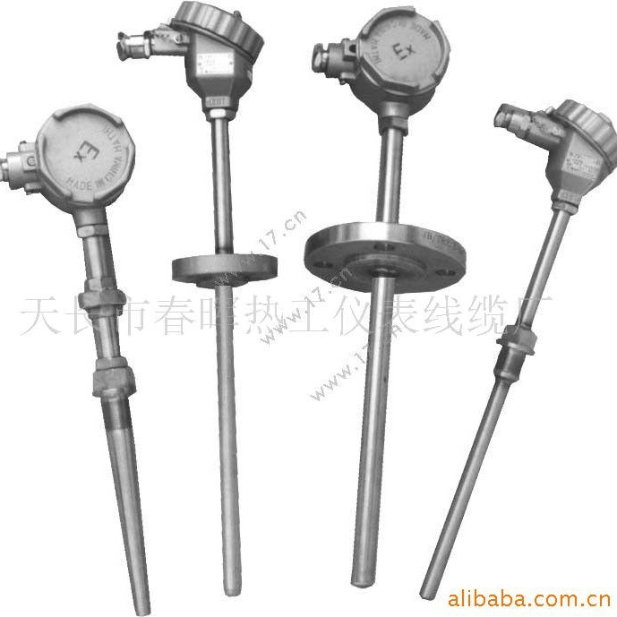 供应铠装热电阻WZPK-236