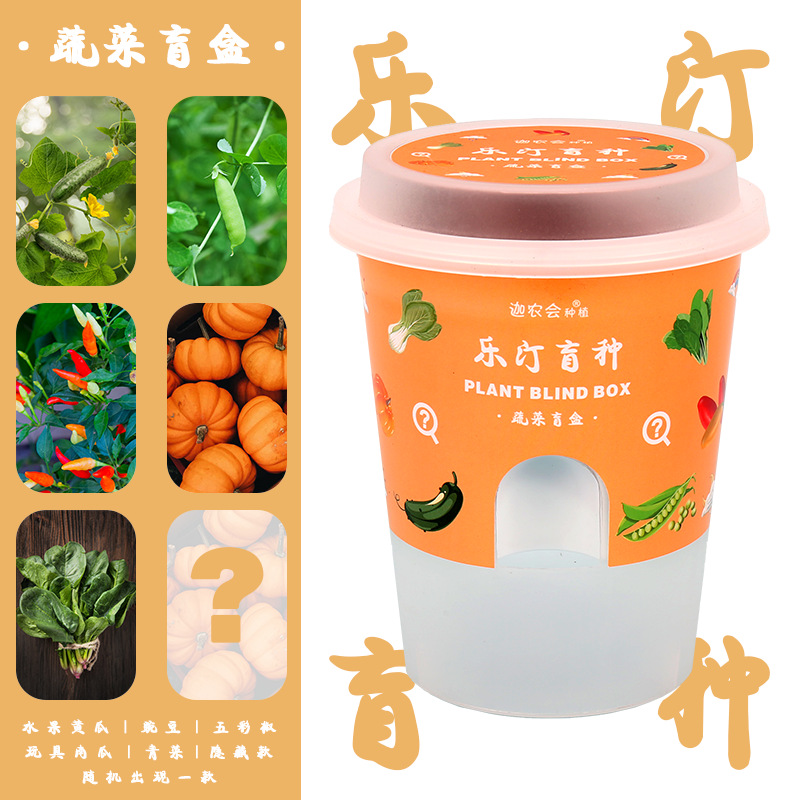 야채 블라인드 박스