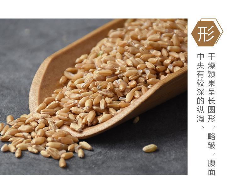 Huai Wheat Grain 500g Huai Xiao Mai Triticum aestivum Dried Chinese Herb for Decoction and Culinary Use specifications