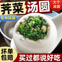 荠菜大汤圆糯米汤团圆子元宵咸汤圆猪肉鲜肉大黄米汤圆黑芝麻
