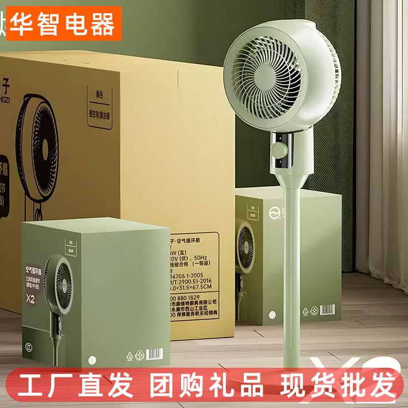 Air Circulation Fan Taiwan Stand Dual-purpose Convection Fan Dormitory Home Remote Control Floor Fan Fan Group Buying Gift Wholesale
