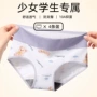 三角初中大码女孩内裤