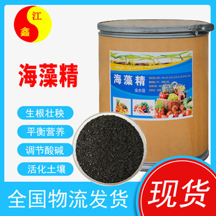 ���徫 �ЙCˮ�ܷʺ����� �������������a������������ø�⺣�徫