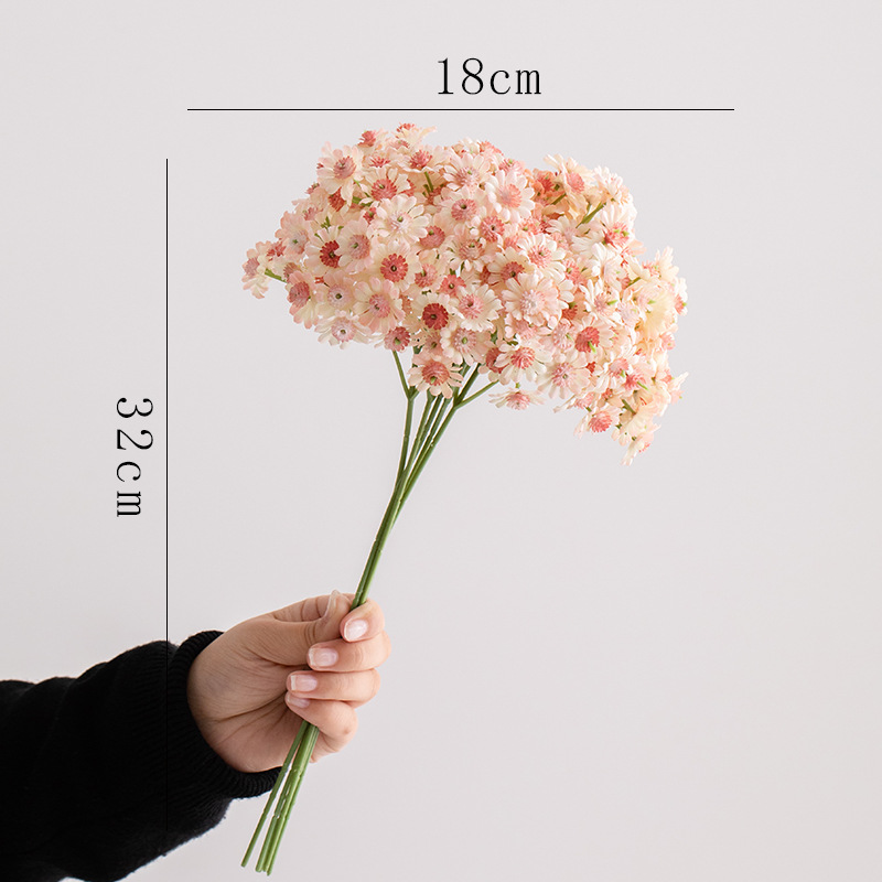 많은 별 데이지 (핑크)