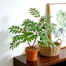 仿真绿植;仿真花;仿真盆栽