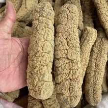 �i���S����؛3-5�^���޵����i�������l��ɴ��S�⺣�������S��