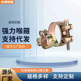 镀锌不锈钢强力喉箍加厚欧式重型管夹抱箍紧箍圈pvc水管固定卡箍