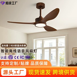 风扇灯;吊扇
