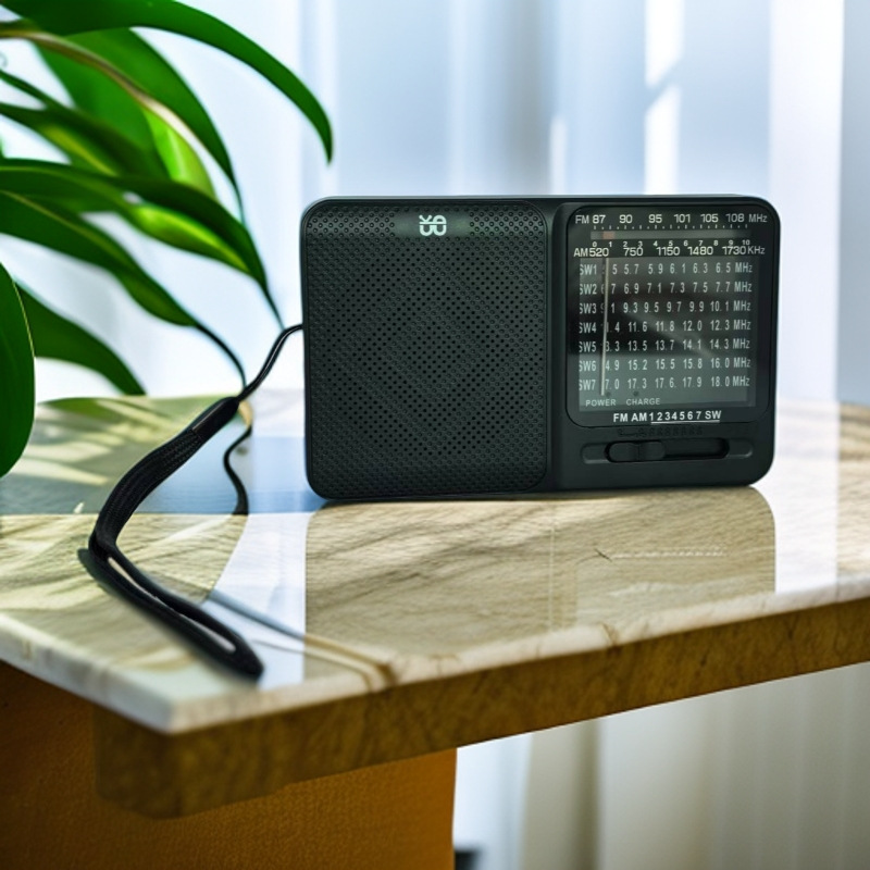 Radio multifunción portátil al por mayor transfronteriza batería seca recargable Semiconductor de doble uso para personas mayores en voz alta