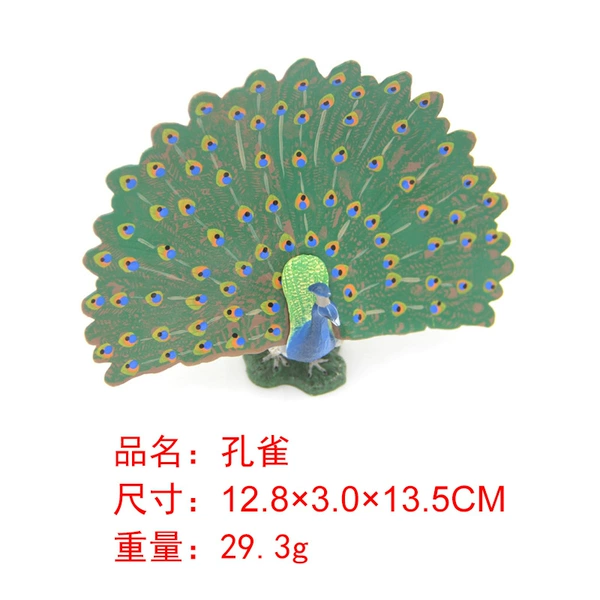 M4082 Peacock