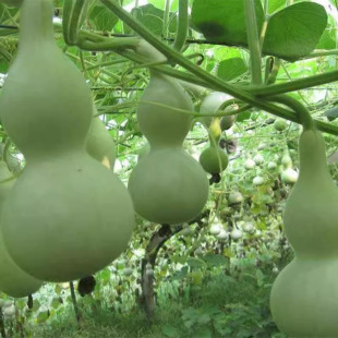 �����J�N���̨�������ٺ��J�����С�����JͥԺ�����������ֲ��