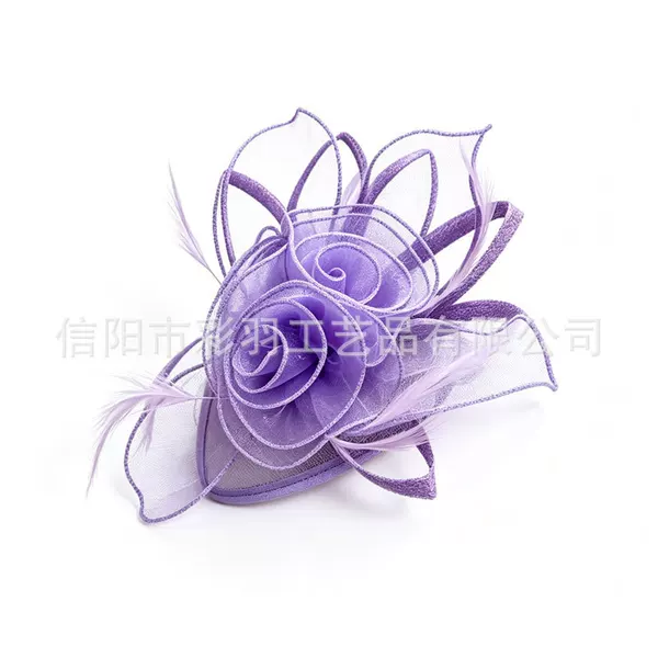 Amazon's best-selling feather and mesh decorative hair accessory, vintage elegant and stylish party headpiece