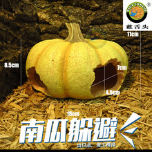 �����ϹϺ������x�������ϐ�،m��Ѩ�쾰����ɽ�������߸C