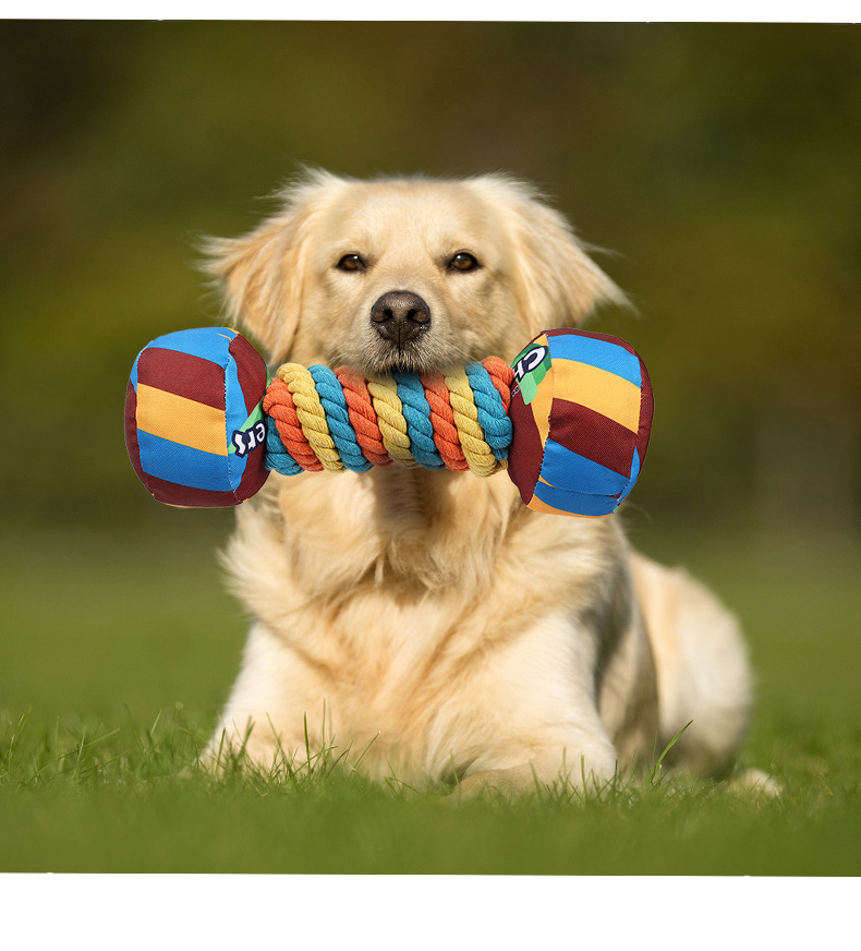 Wholesale Hot Rainbow pet dog toys grinding teeth being tough bite making sounds Pet toys